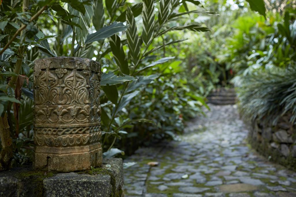 Bamboo Villa Kandy Digana Dış mekan fotoğraf